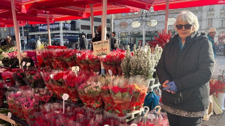 Štefica prodaje božićne zvijezde: 'Umirovljenici kupuju najmanje, postali smo sirotinja'