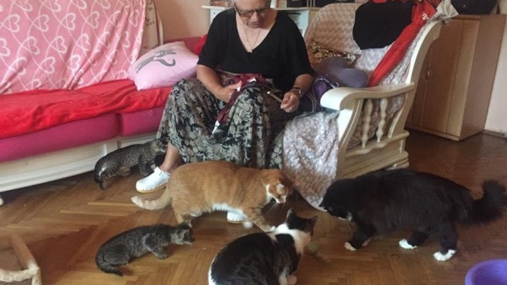 Predivna gesta: Volonterka Mia spaja napuštene mačke i umirovljenike, a sve na obostrano zadovoljstvo