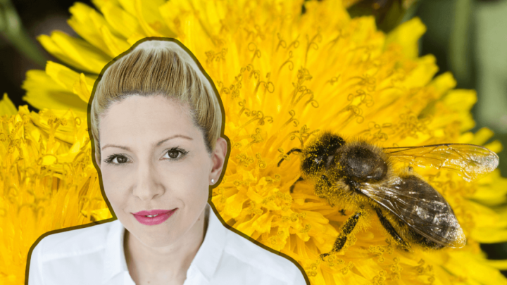 Nutricionistica o propolisu: Smanjuje simptome infekcija, ali nosi i rizike za starije