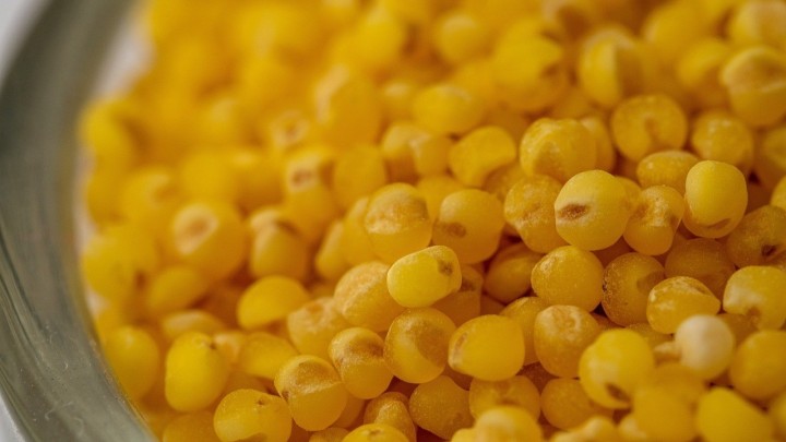 Zaboravljena žitarica donosi brojne benefite: Ne sadrži gluten i obiluje vitaminima