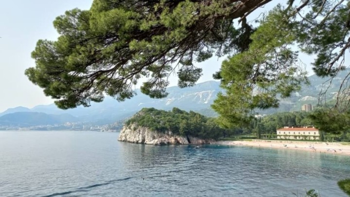 Cvjetanje mora: Zašto se događa i kako prepoznati ovu pojavu